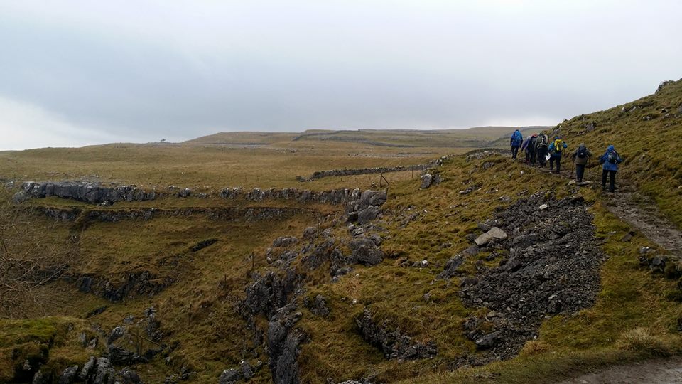 malham viii